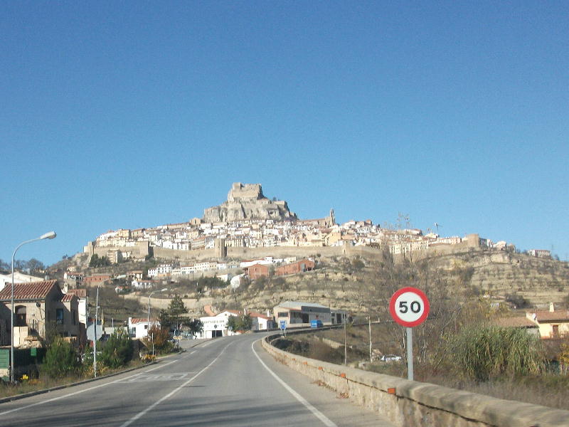 Morella