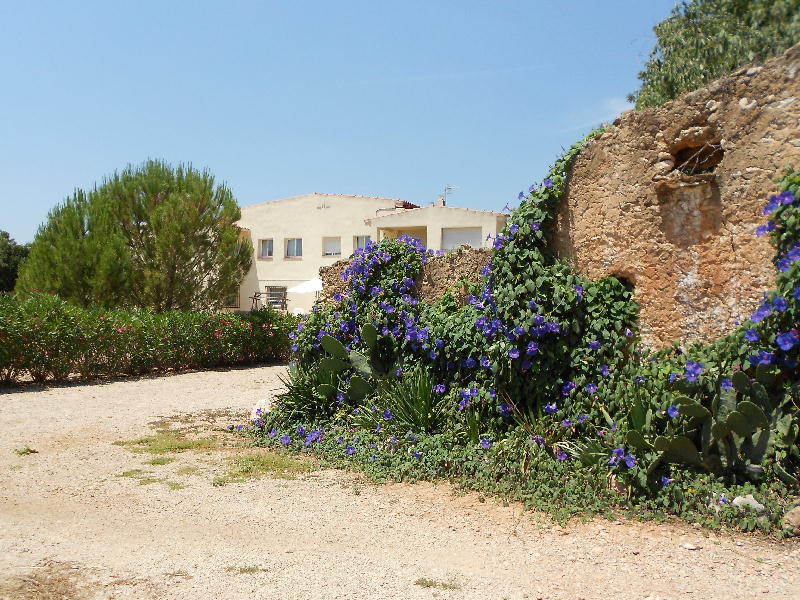 Approach from driveway